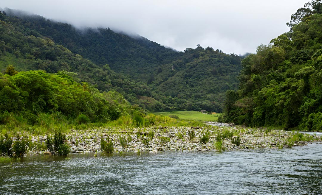 Best family homestay near Karlad lake,Best homestay in |Wayanad for family,Best family resort in Wayanad,Luxury apartments in Wayanad,Best family homestay in Wayanad
