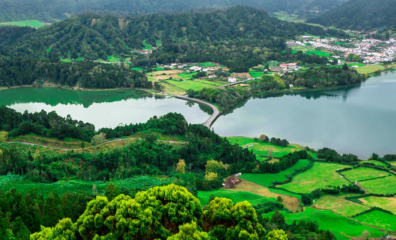 Best luxury hotel apartments in Wayanad,Best luxury apartments in Wayanad,Premium apartments in Wayanad,Best apartments in Wayanad,Top hotel apertments in Wayaand,Best Service Apartment in Wayanad